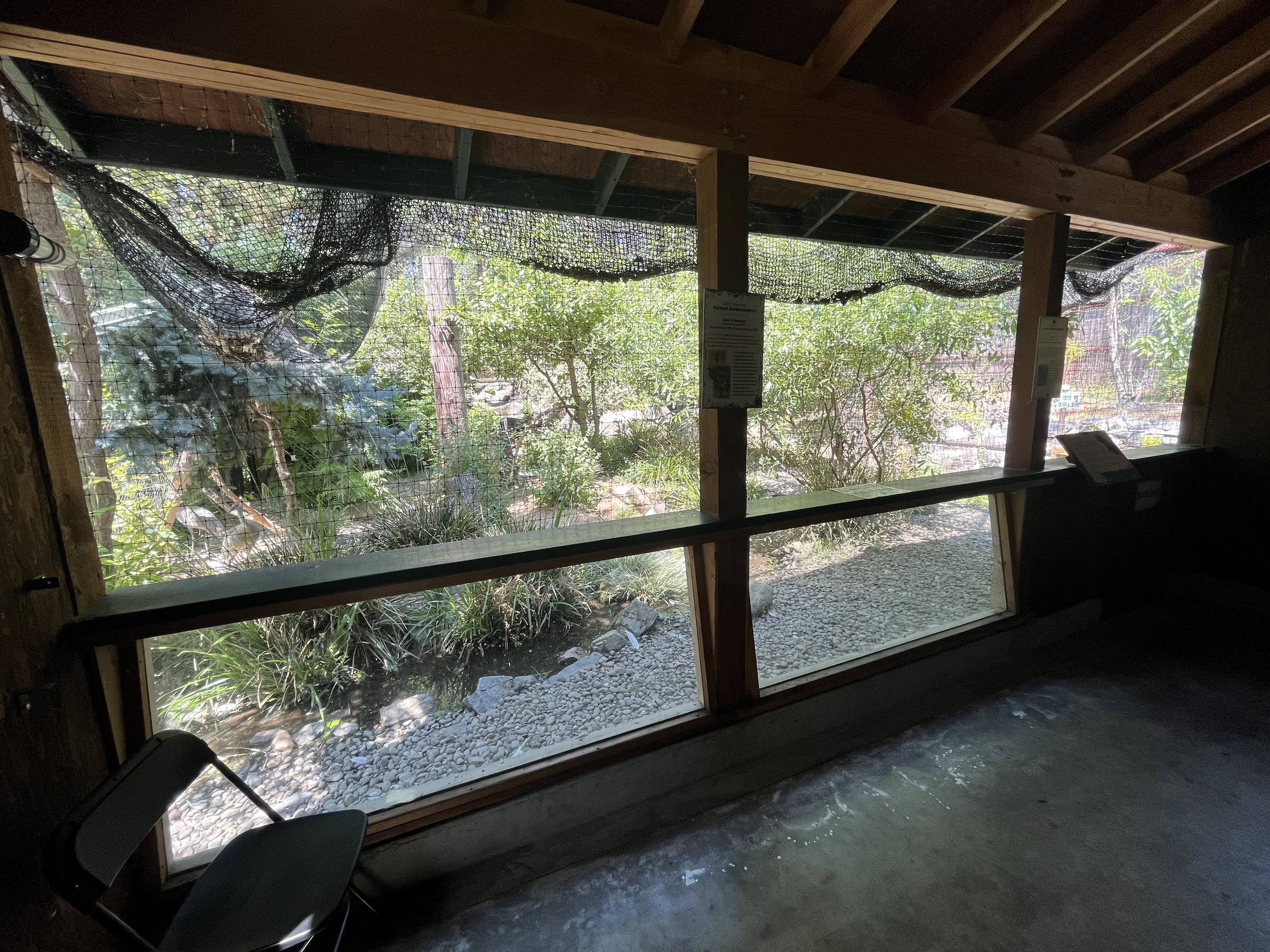 Sandhill Crane/Turkey Vulture Aviary