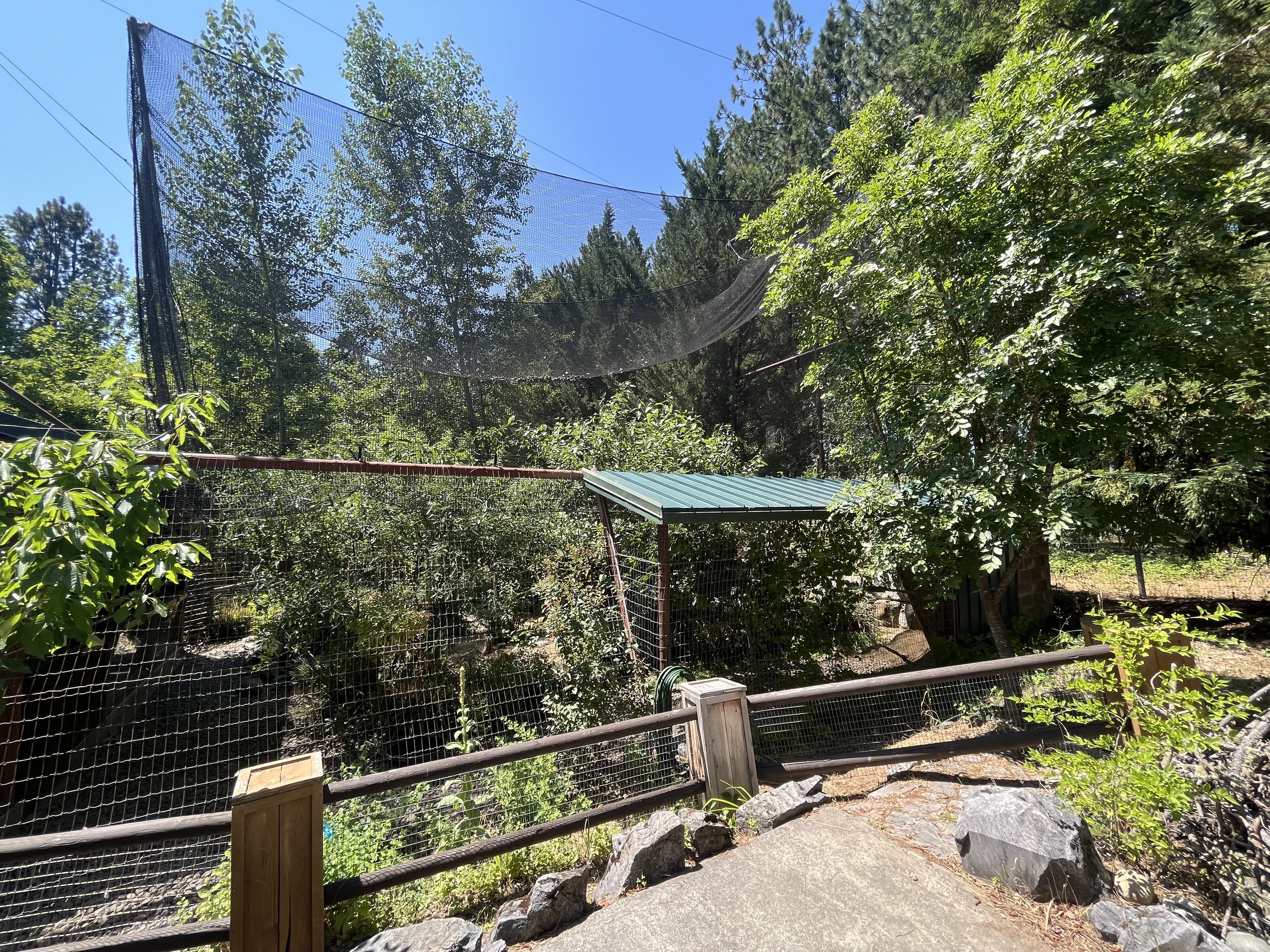 Sandhill Crane/Turkey Vulture Aviary