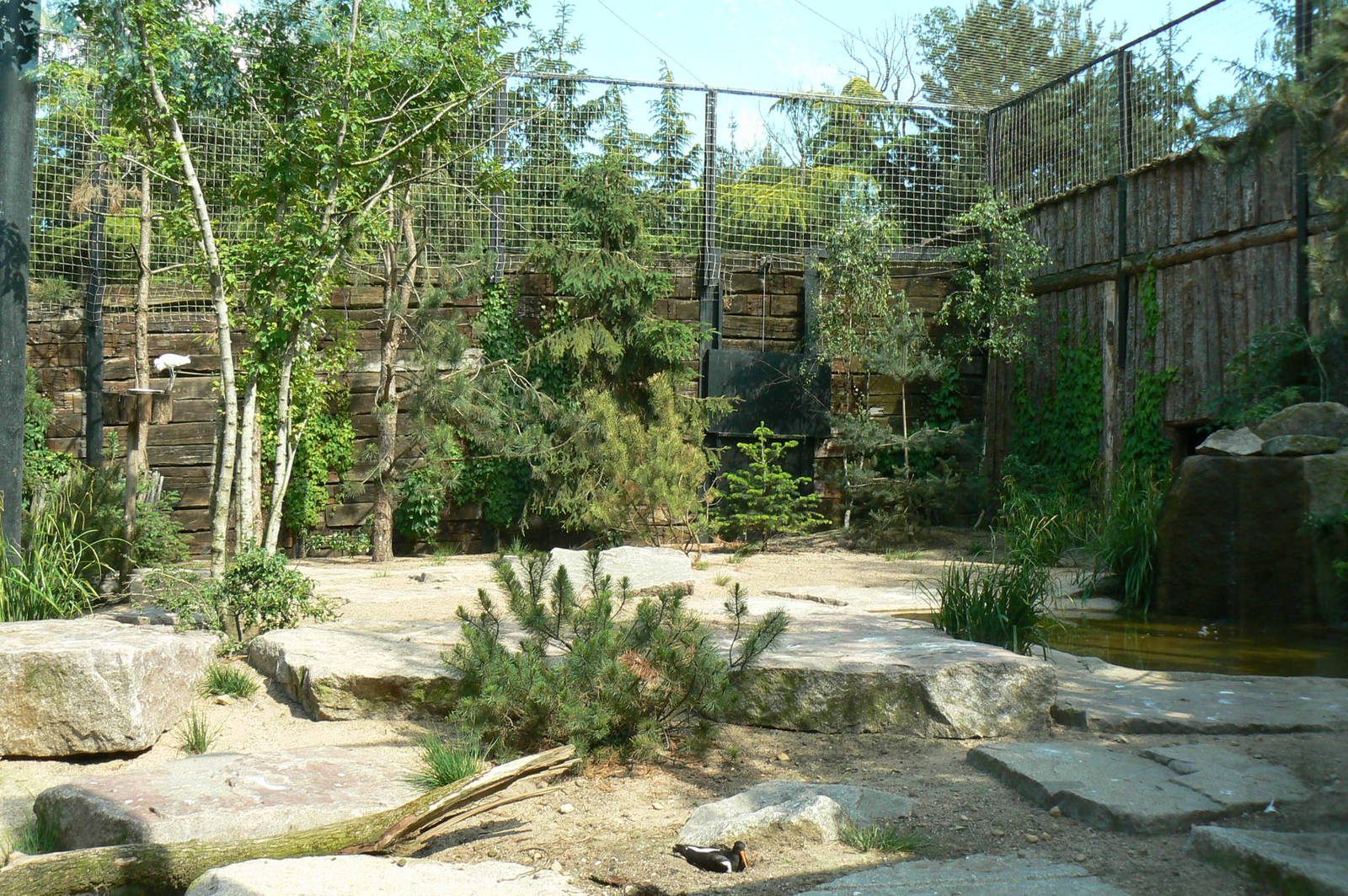 Sandhill cranes exhibit - general view