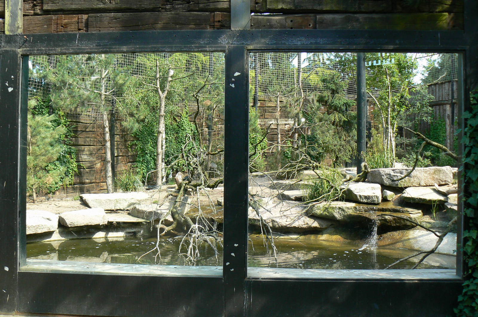 Sandhill cranes exhibit - general view