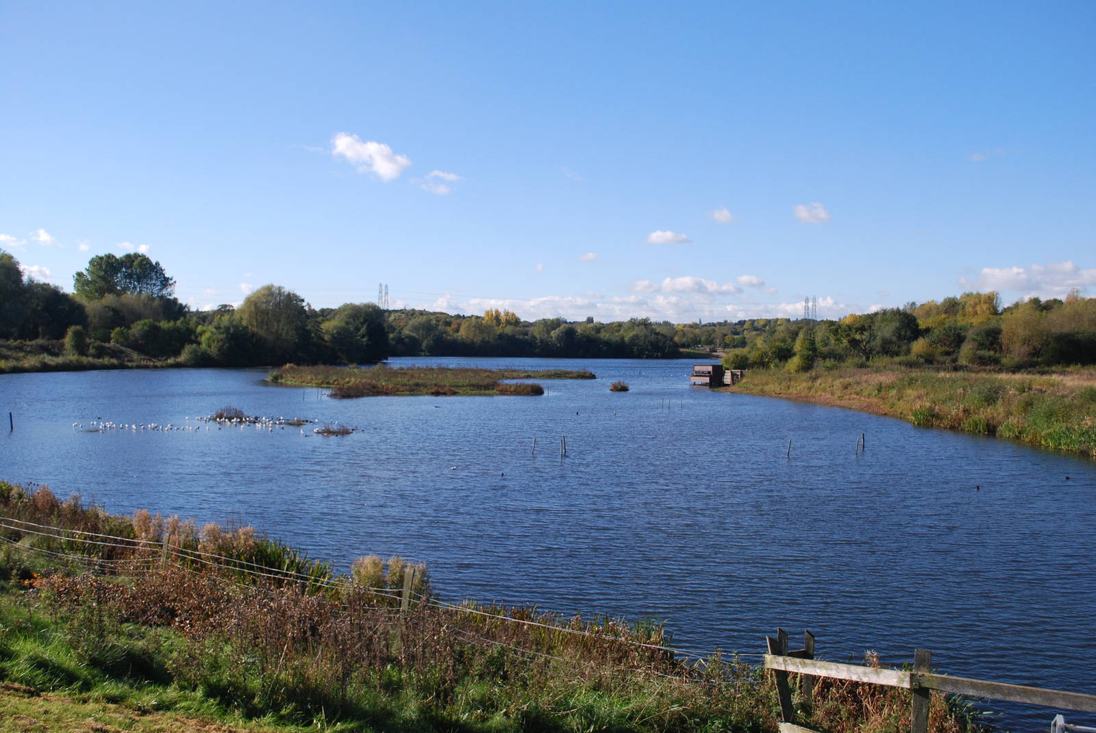 Sandwell Valley RSPB