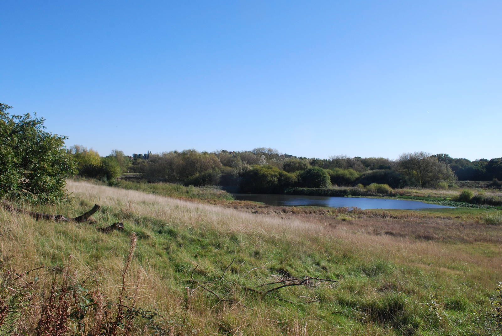 Sandwell Valley RSPB
