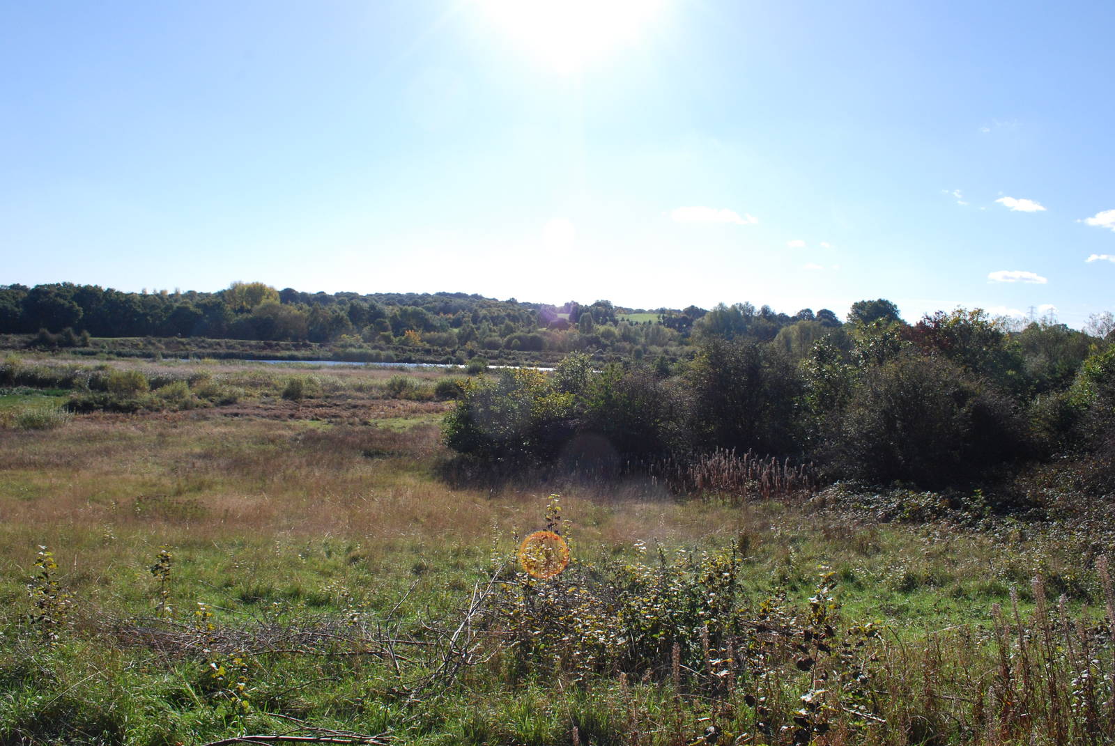Sandwell Valley RSPB