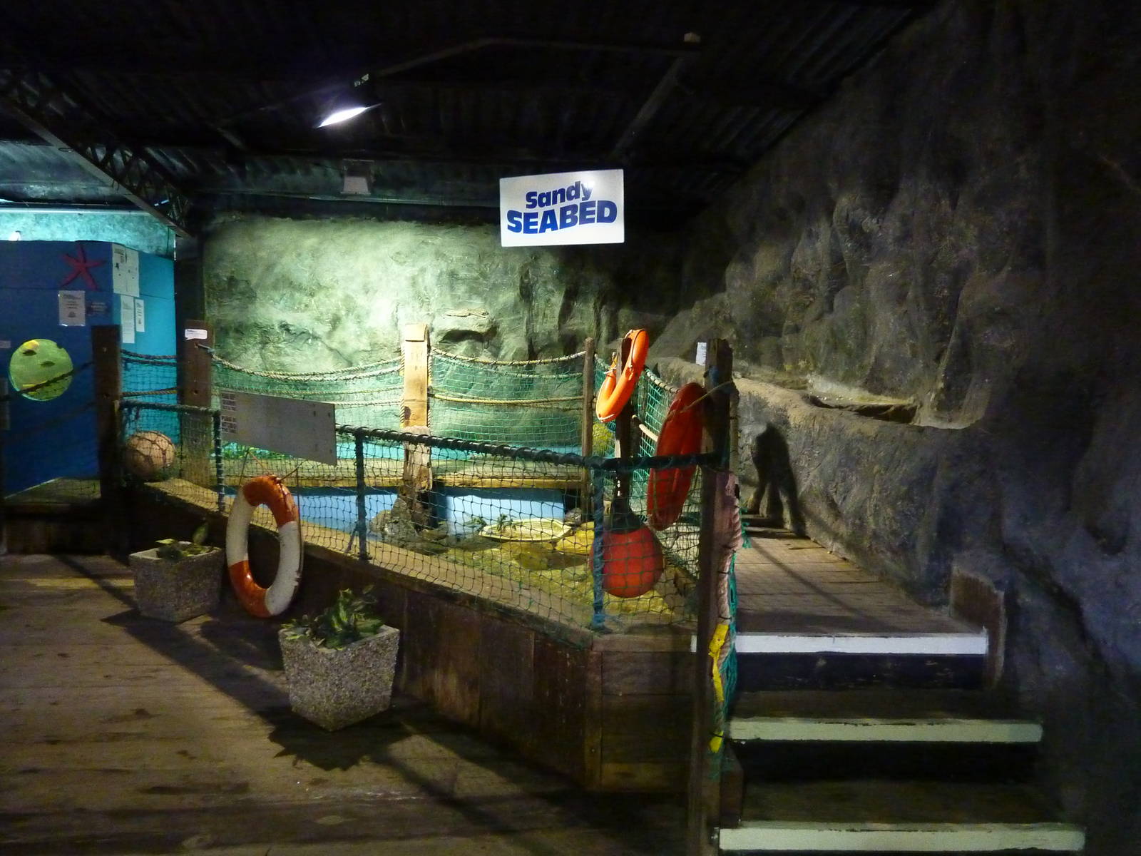 Sandy seabed exhibit - 24th August 2012