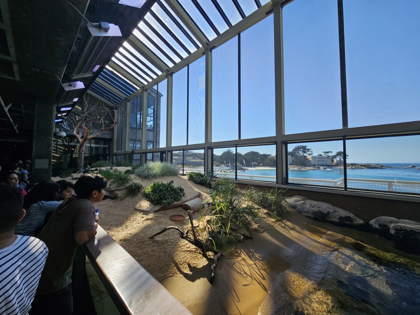 Sandy Shores Aviary (left side)