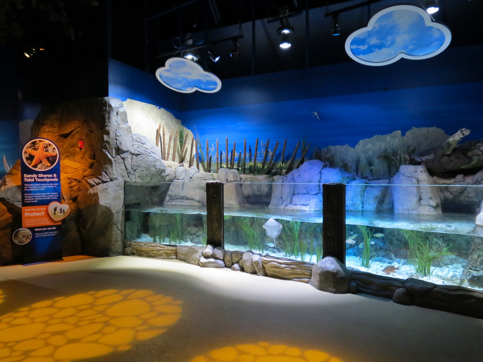 Sandy Shores Exhibit