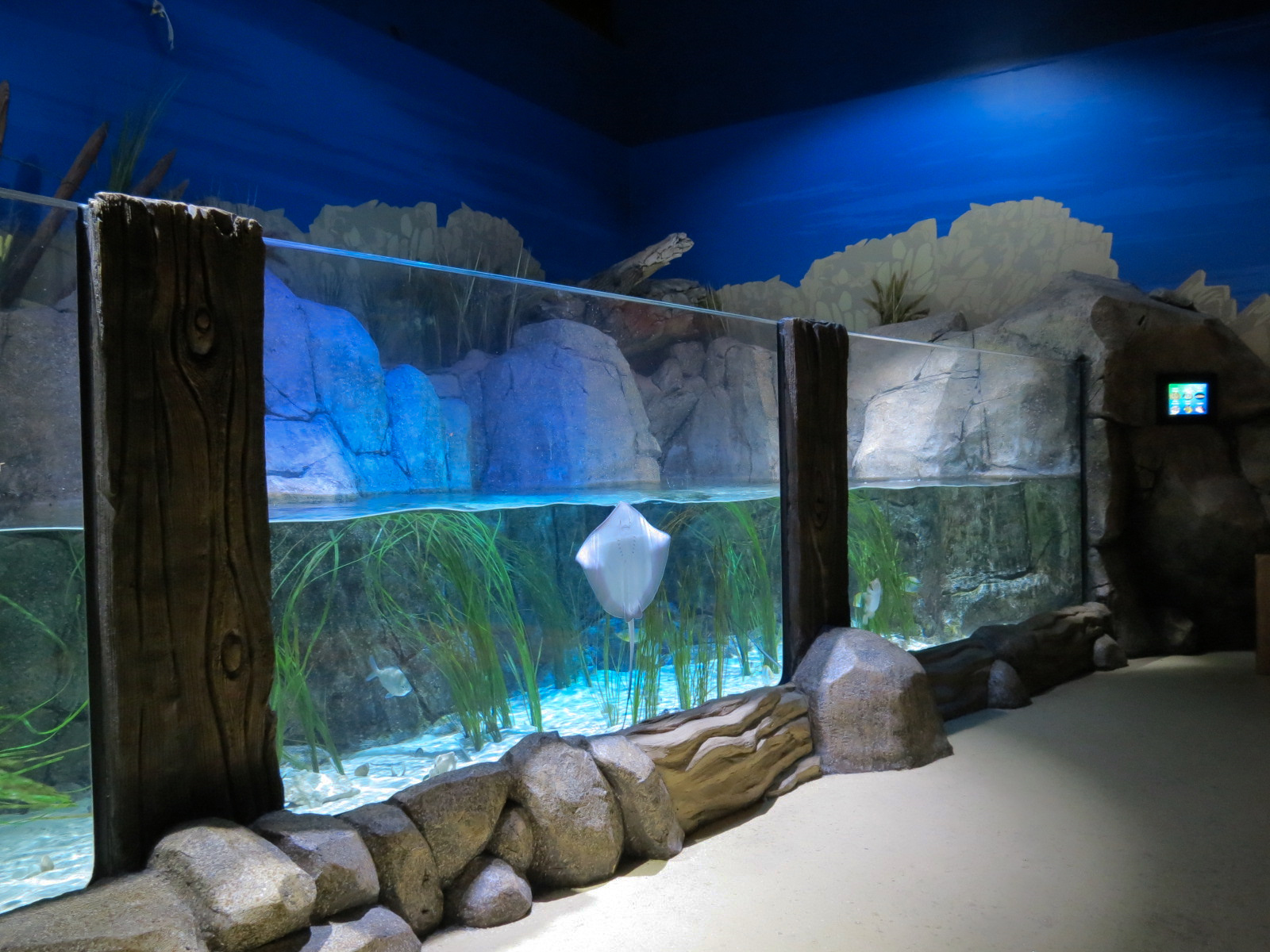 Sandy Shores Exhibit