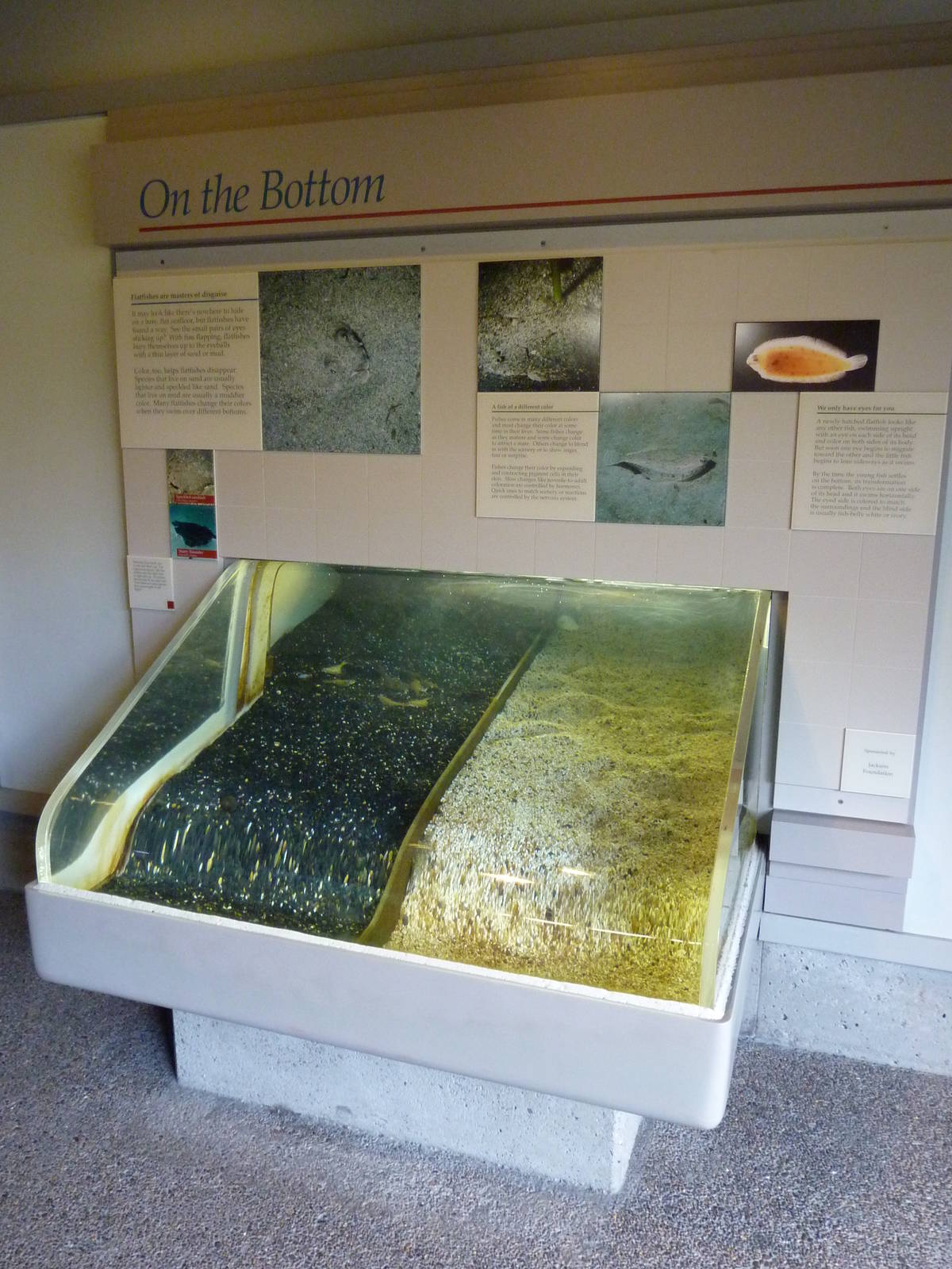 Sandy Shores Exhibits