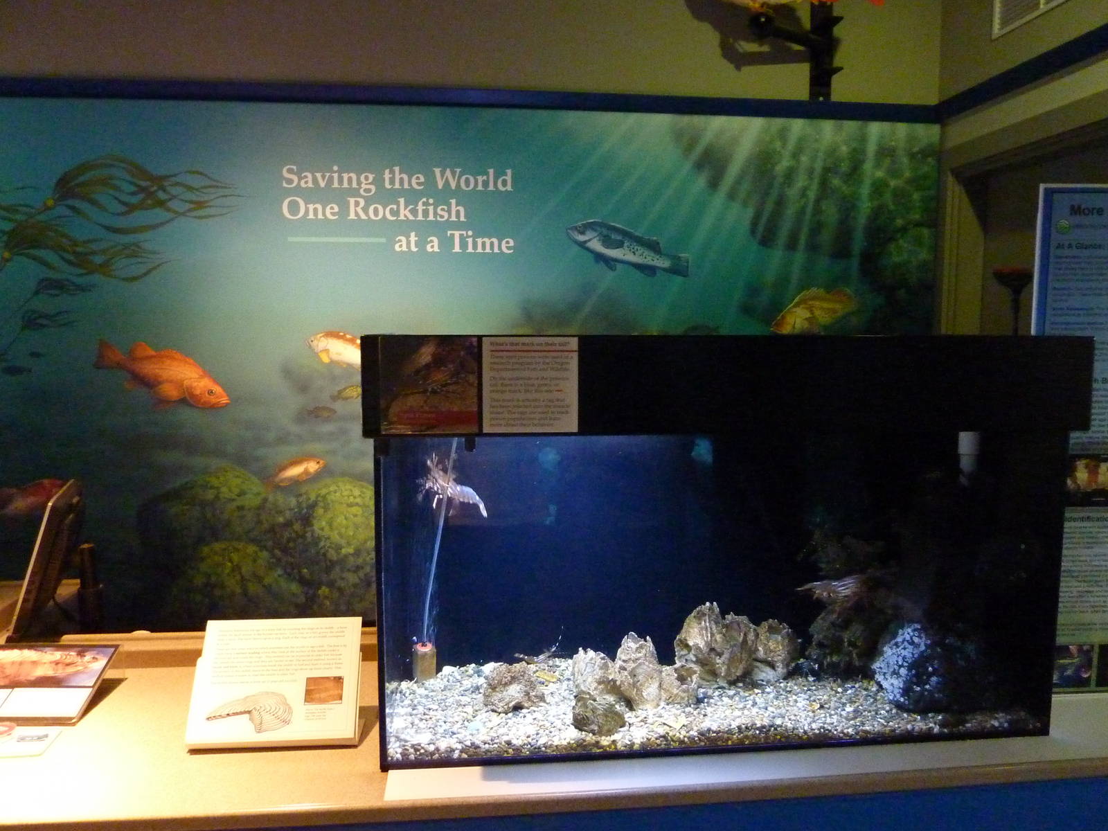 Sandy Shores Exhibits