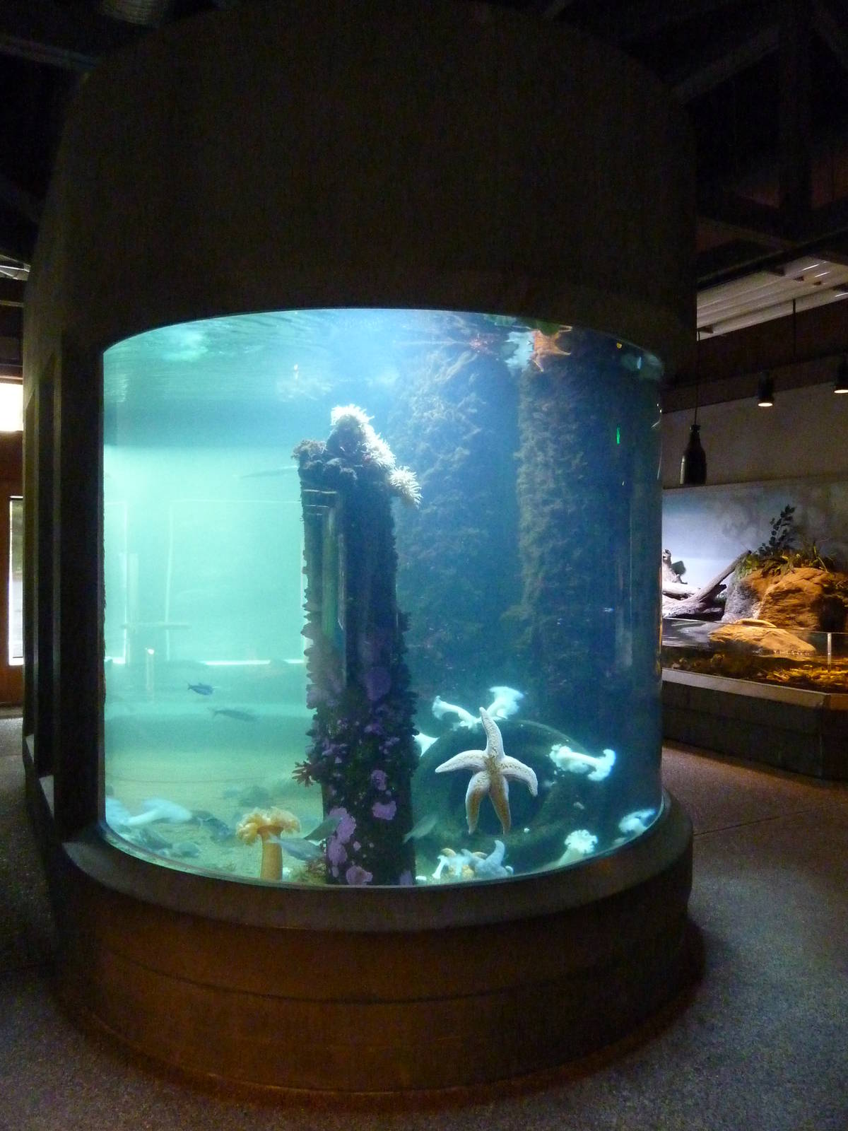 Sandy Shores Exhibits