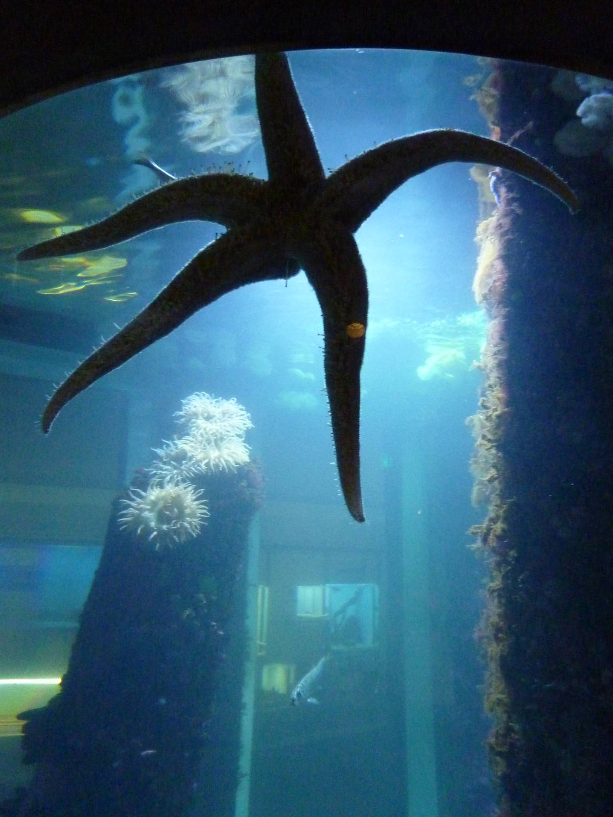 Sandy Shores Exhibits