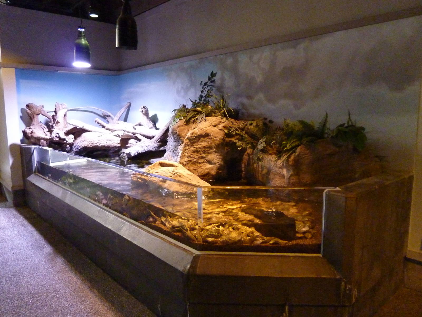 Sandy Shores Exhibits