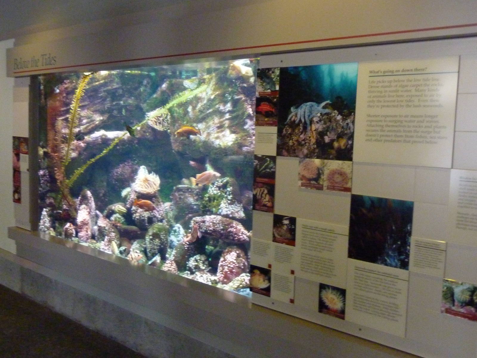 Sandy Shores Exhibits