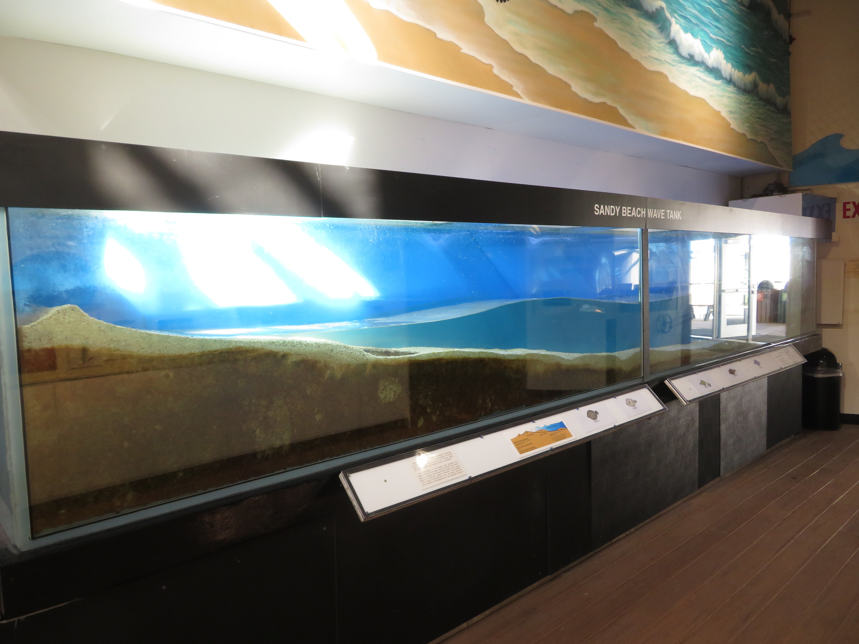 Sandy Wave Beach Tank