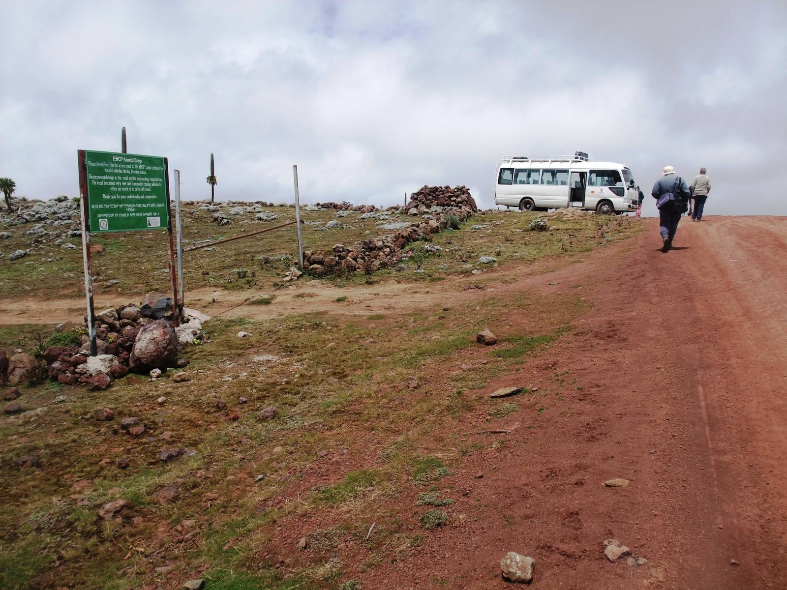 Sanetti Plateau, Bale Mountains NP, 15/10/14