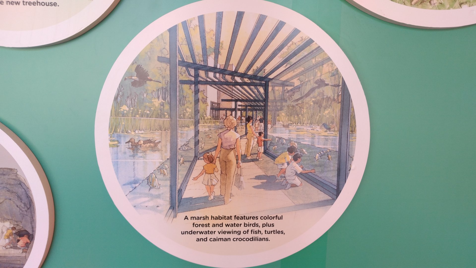 Sanford Children's Zoo concept art - 3