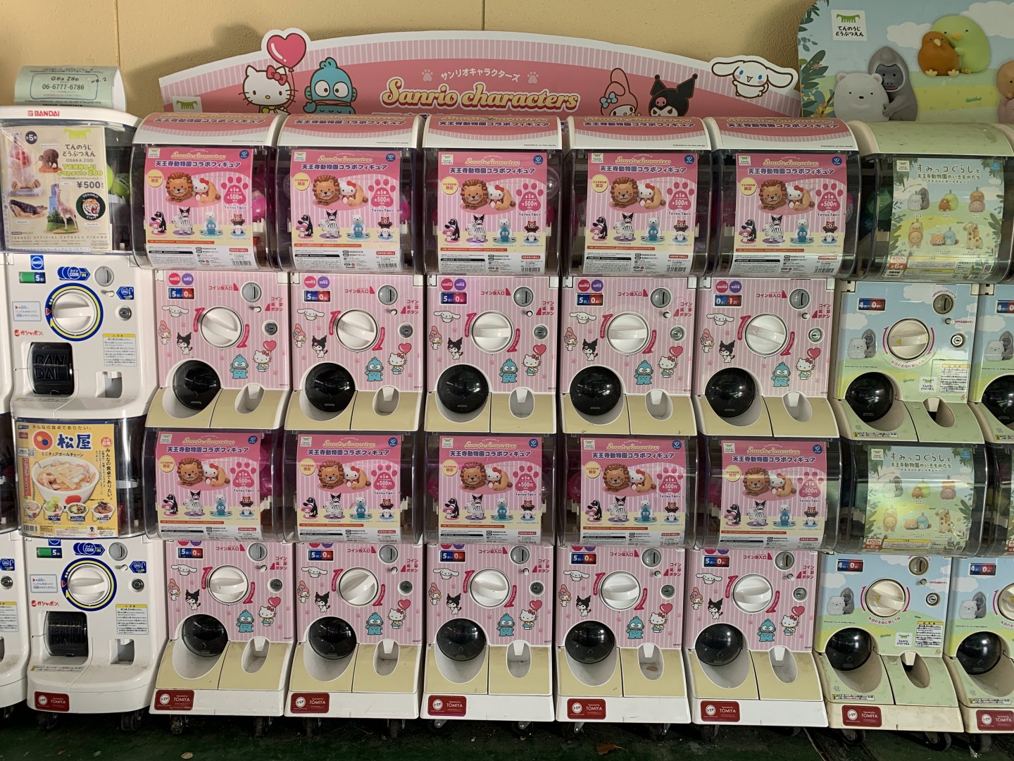 Sanrio x Zoo Gashapon