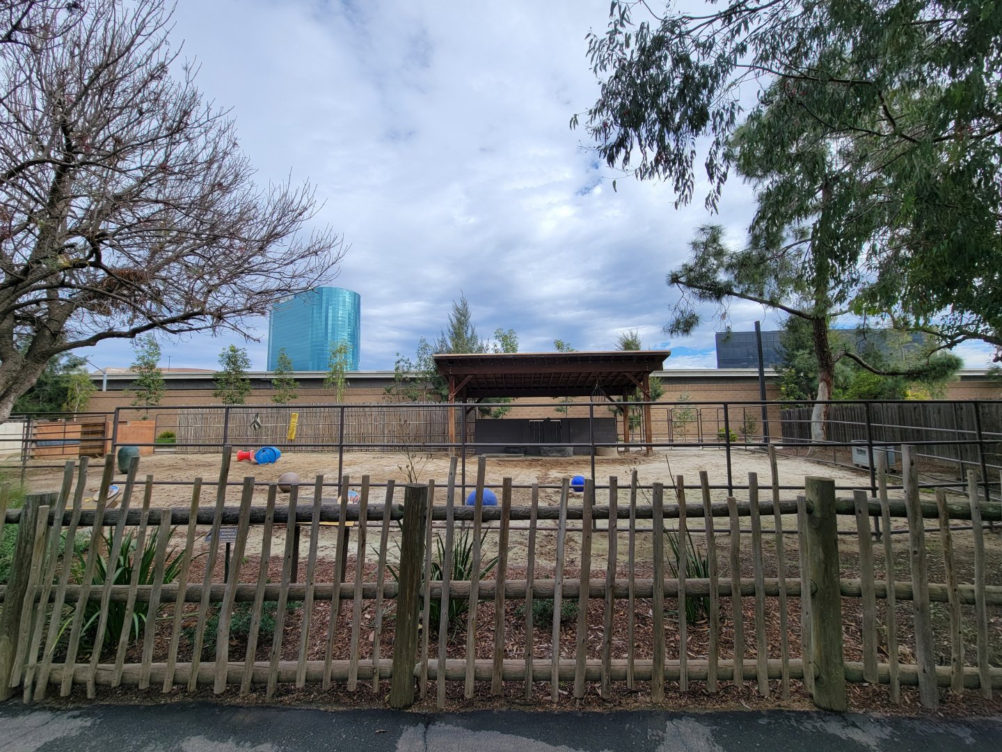 Santa Ana Zoo - Bactrian and Dromedary yard