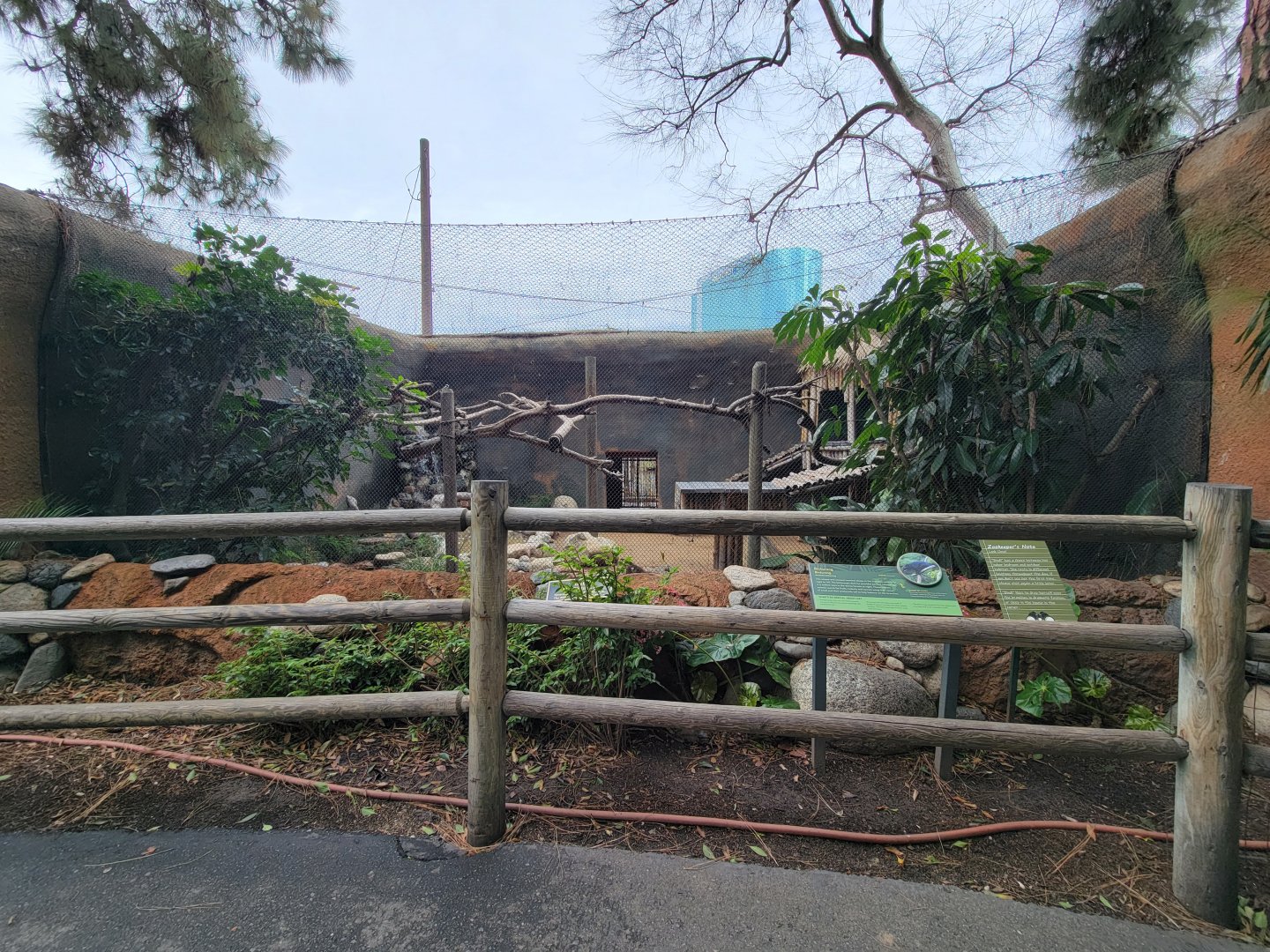 Santa Ana Zoo - Binturong exhibit