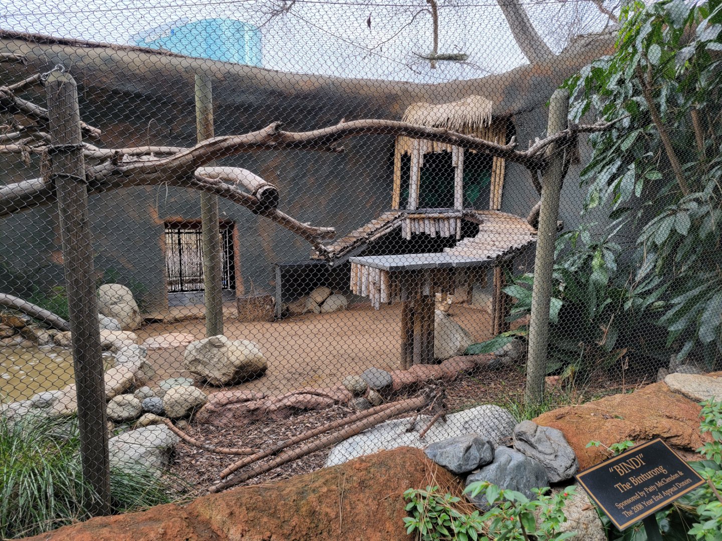 Santa Ana Zoo - Binturong exhibit