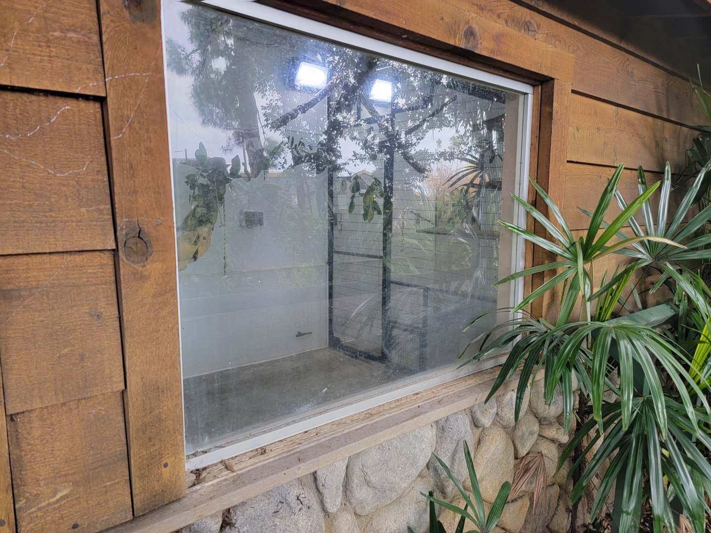 Santa Ana Zoo - Black howler exhibit, indoor area