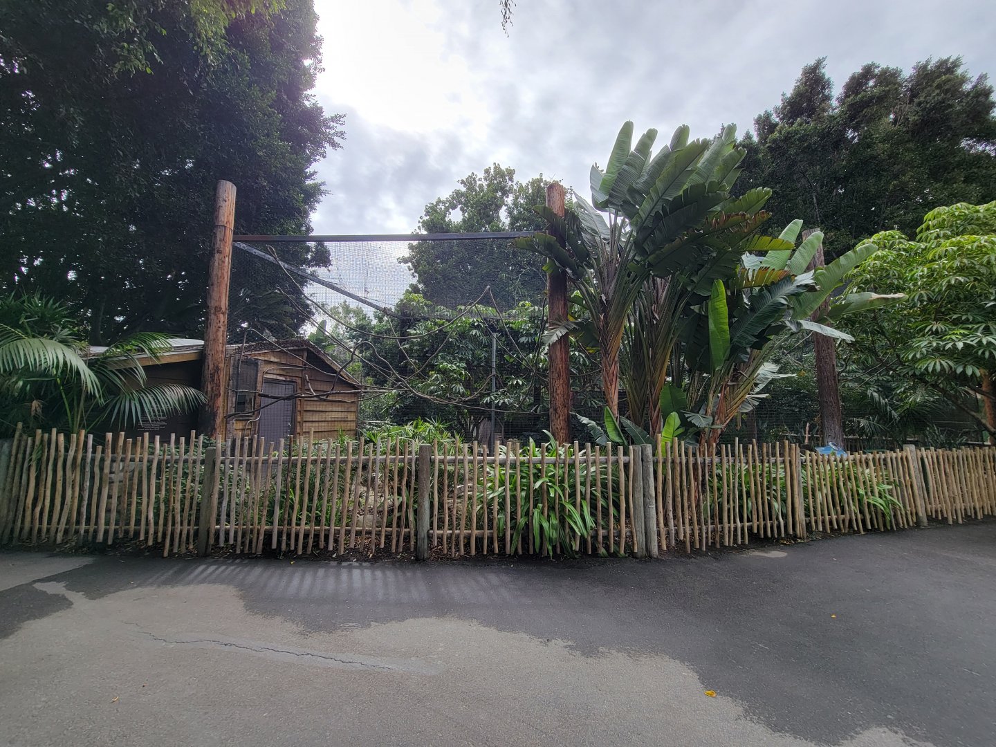 Santa Ana Zoo - Black howler exhibit