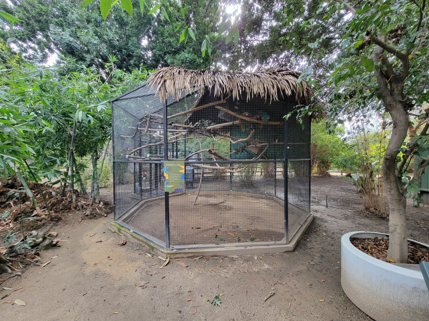 Santa Ana Zoo - Blue & yellow macaw "indoor" exhibit