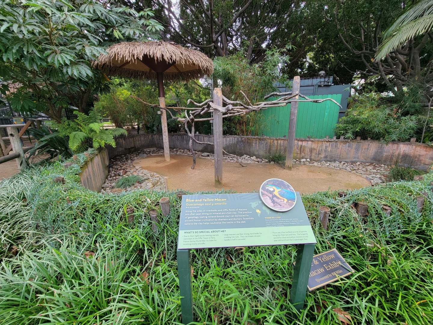 Santa Ana Zoo - Blue & yellow macaw "outdoor" exhibit