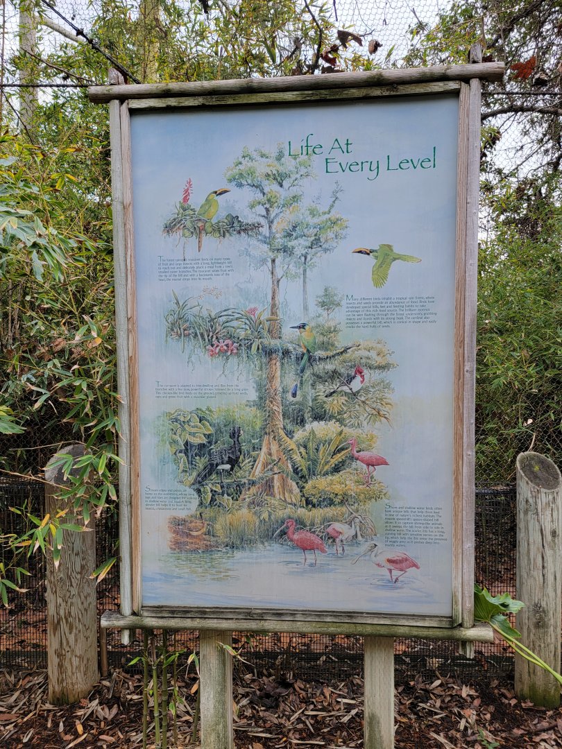 Santa Ana Zoo - Colors the Amazon aviary, Life at Every Level