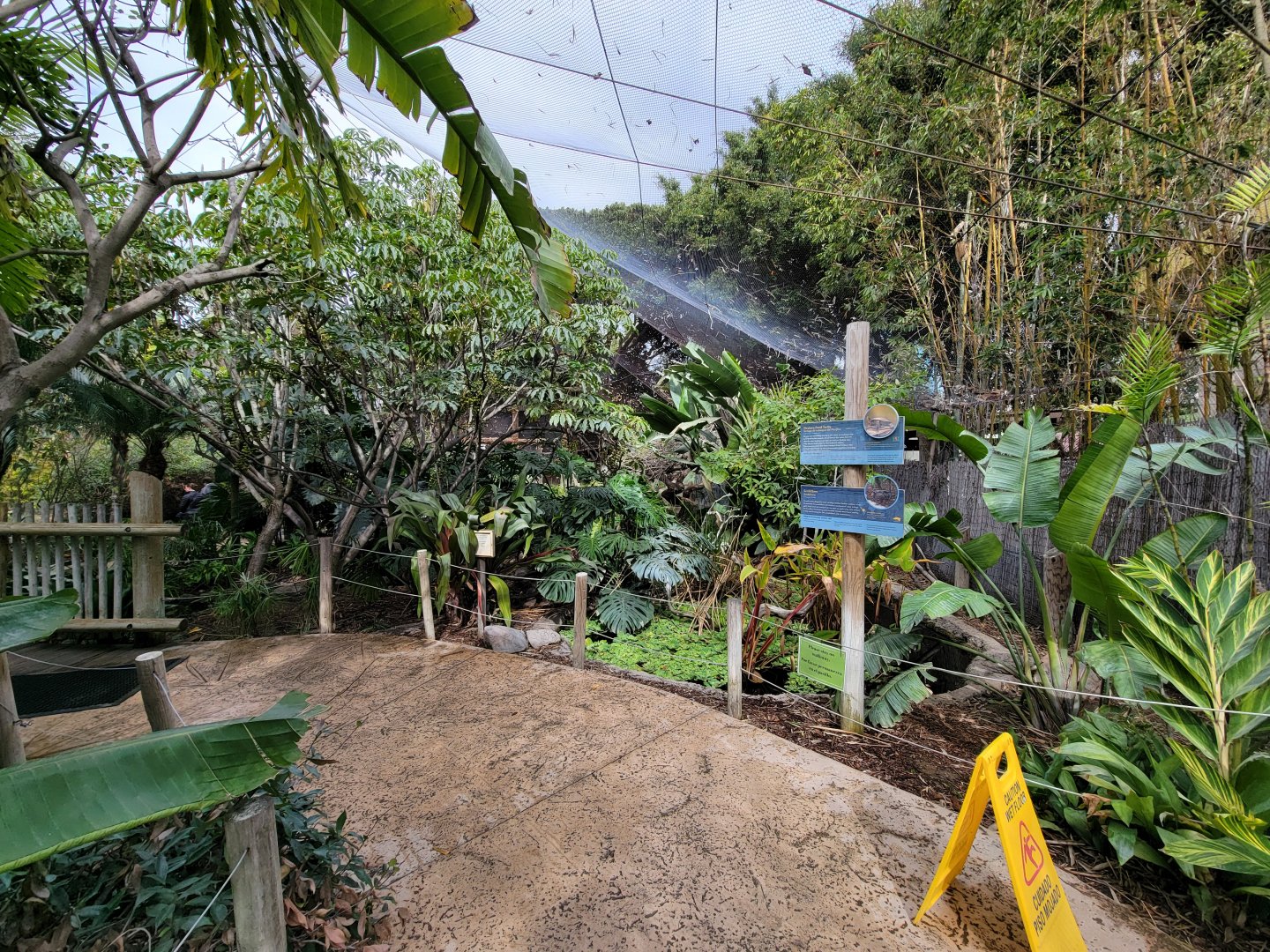 Santa Ana Zoo - Colors the Amazon aviary