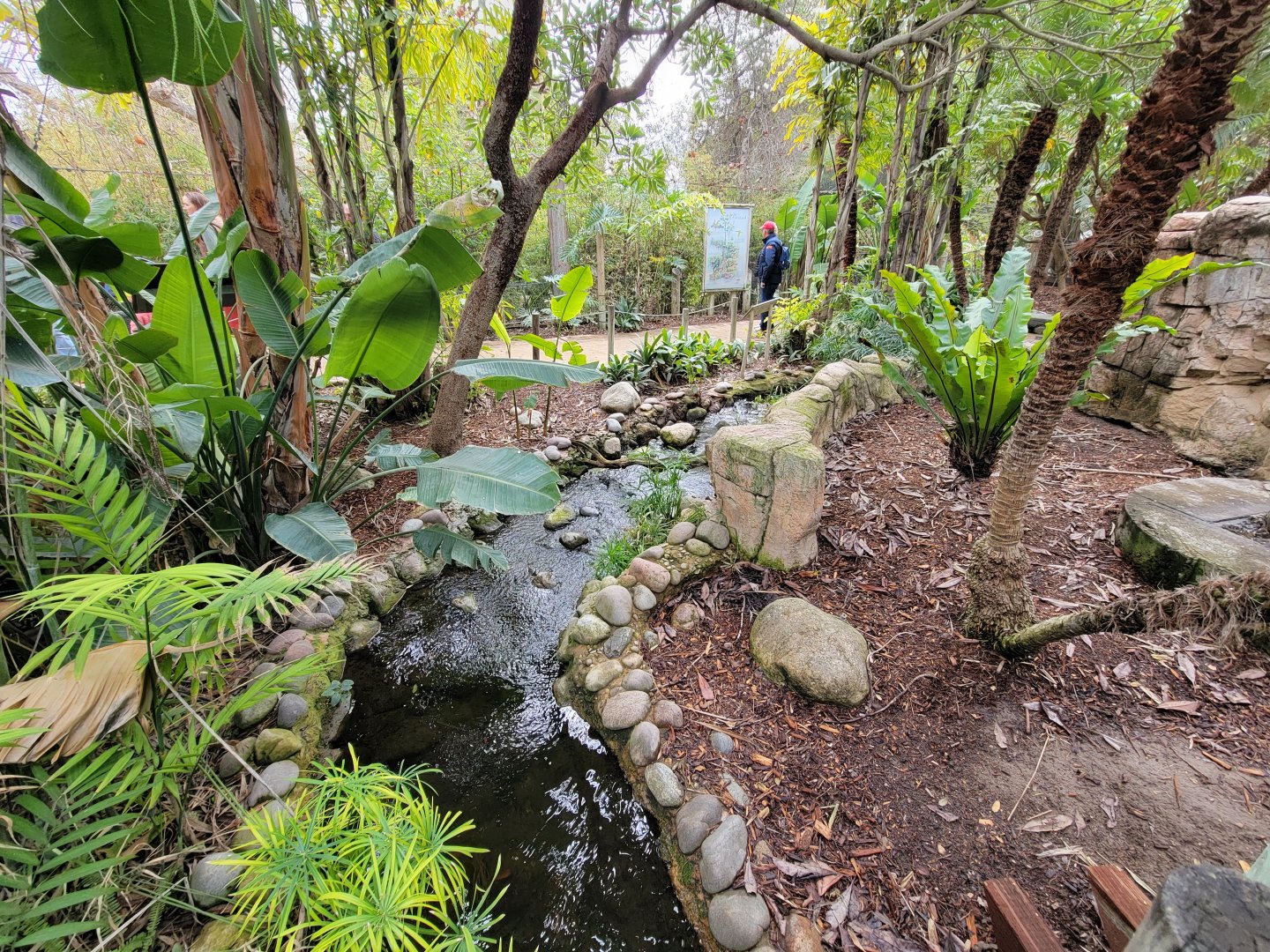 Santa Ana Zoo - Colors the Amazon aviary