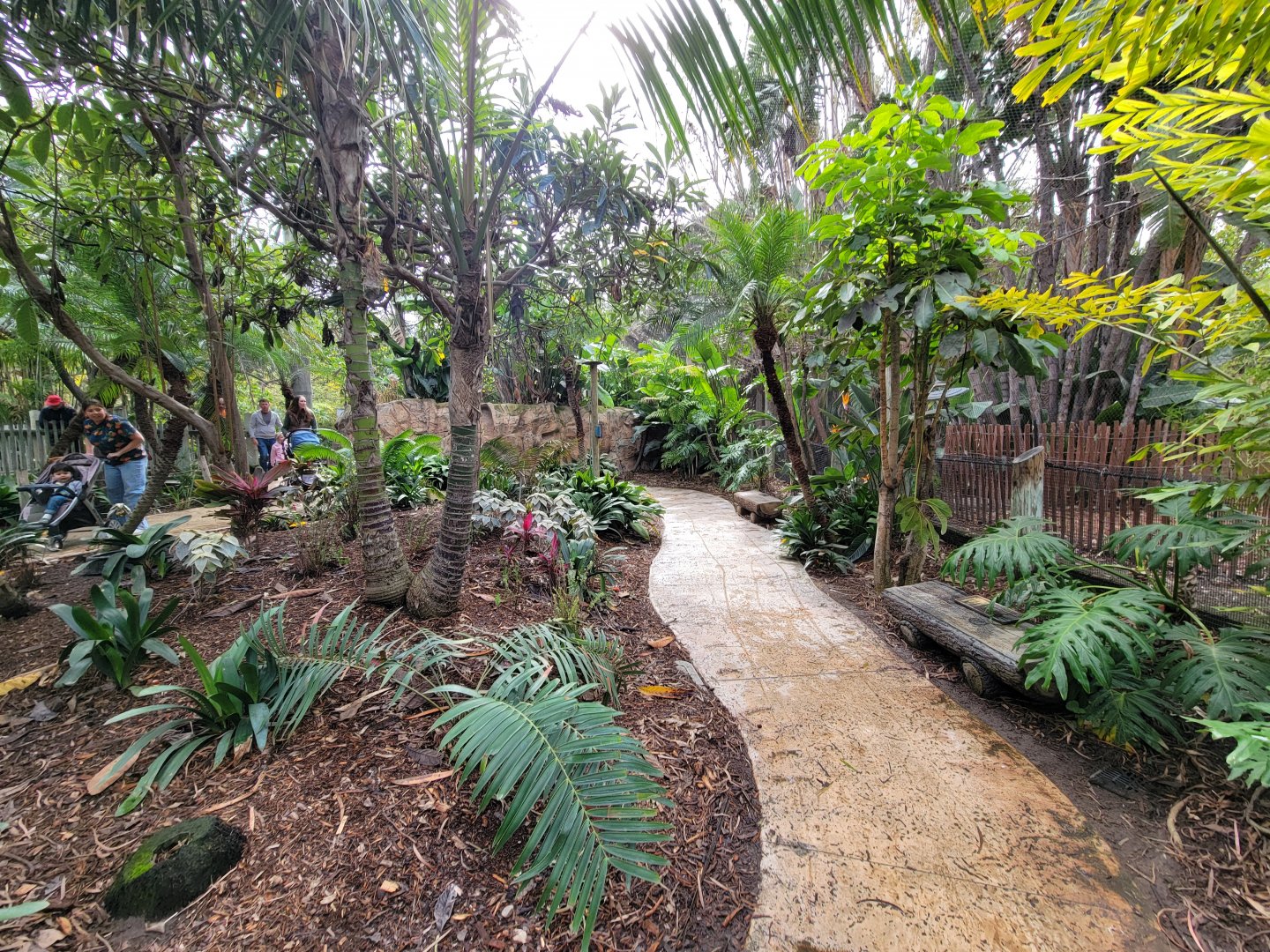 Santa Ana Zoo - Colors the Amazon aviary