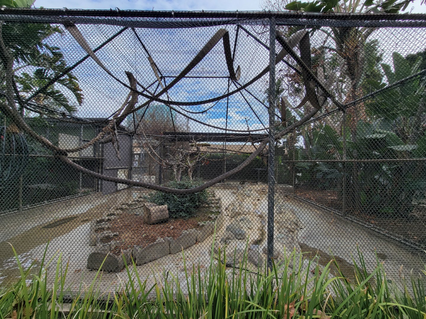 Santa Ana Zoo - Crested capuchin exhibit