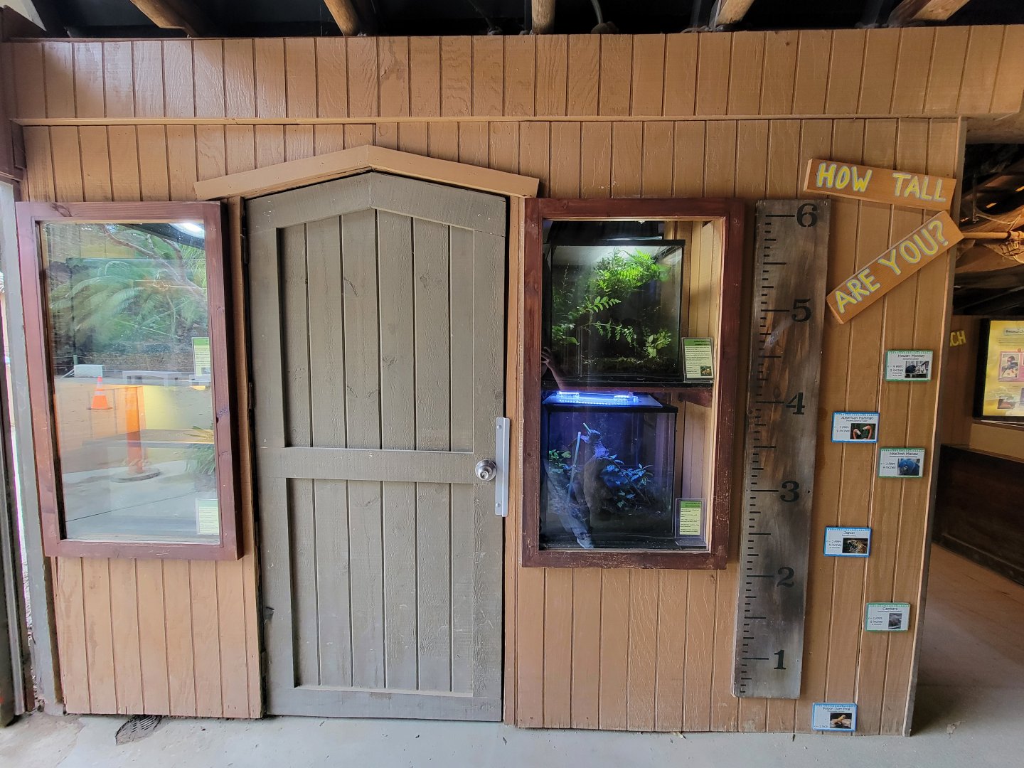Santa Ana Zoo - Exploration Outpost herp exhibits