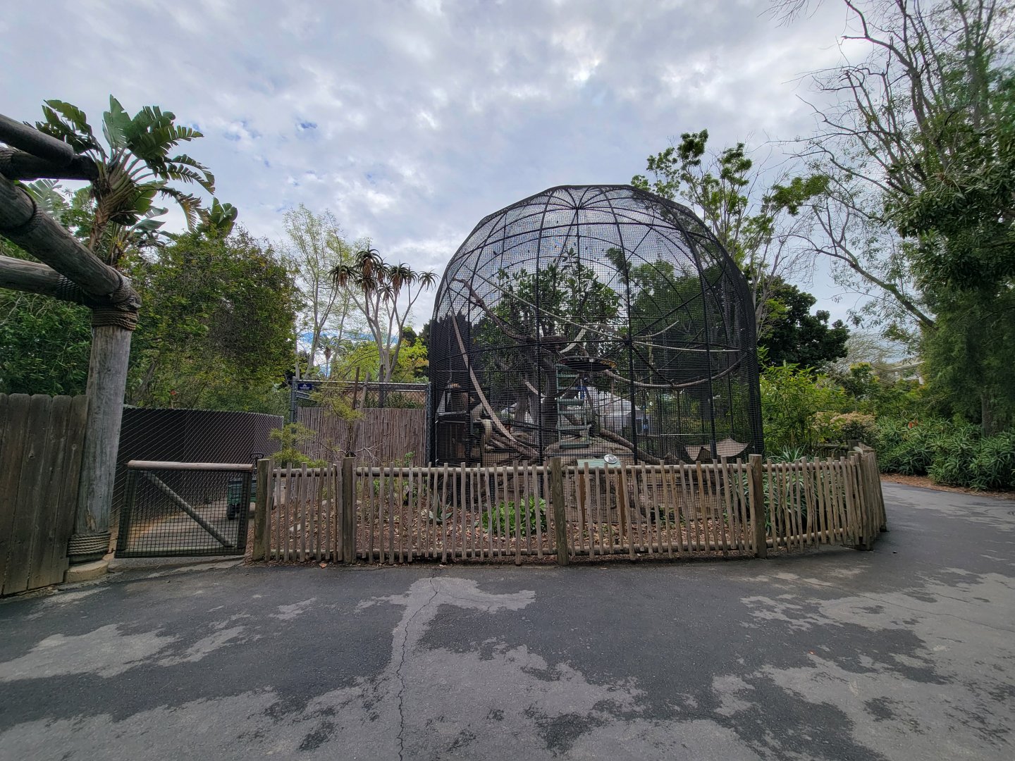 Santa Ana Zoo - Jack Lynch Aviary (with Guereza colobuses)