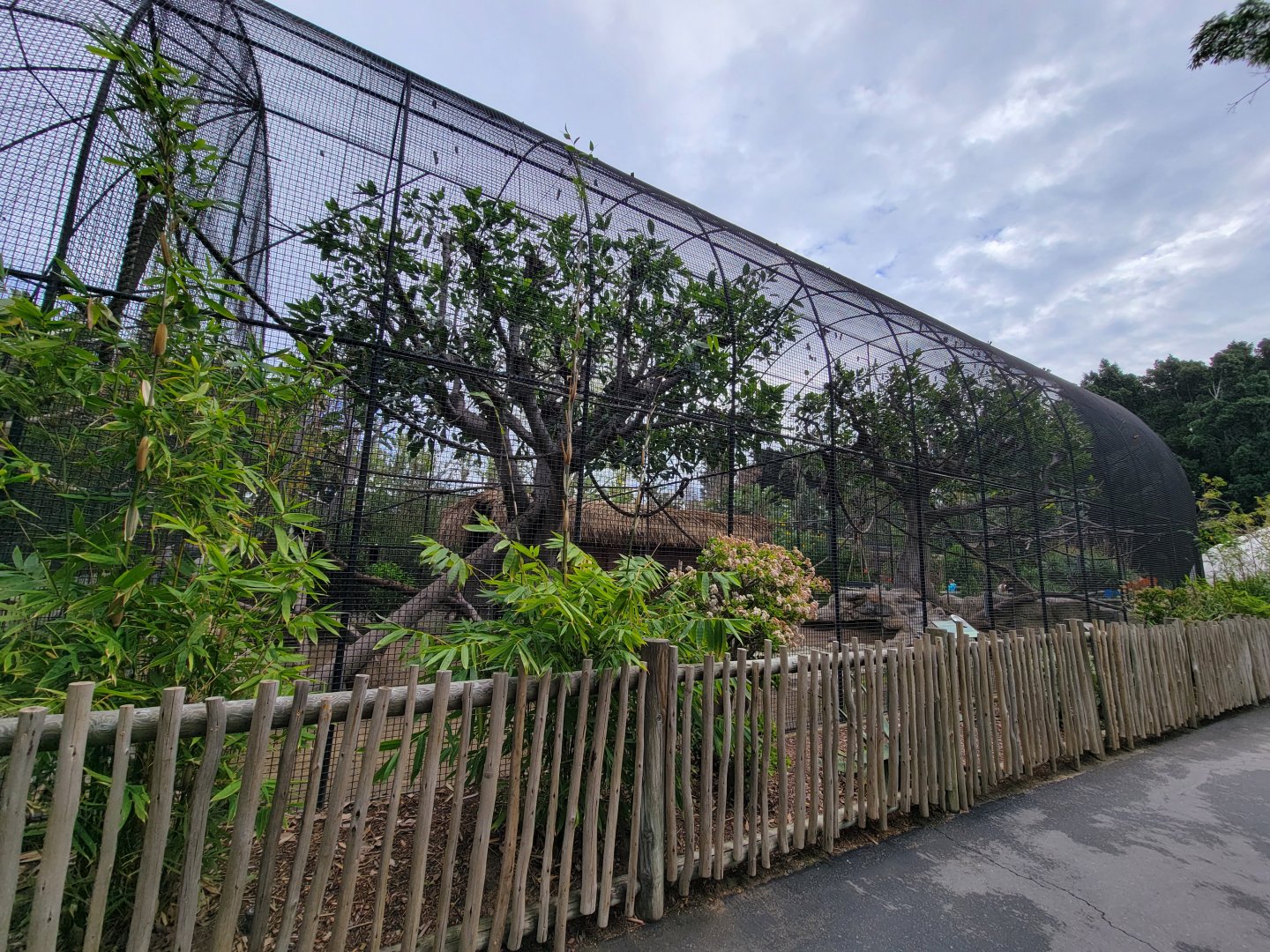 Santa Ana Zoo - Jack Lynch Aviary (with Guereza colobuses)