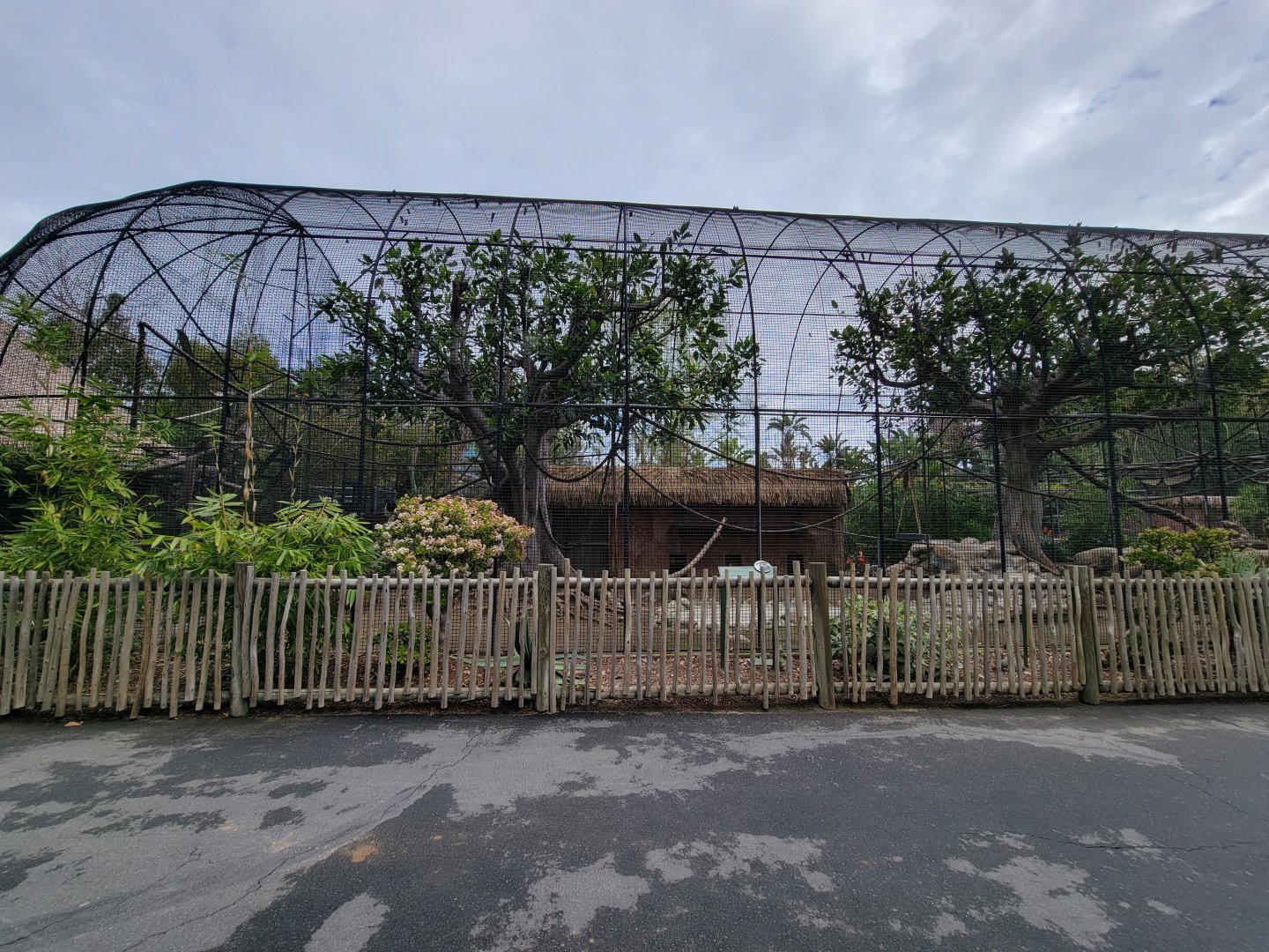 Santa Ana Zoo - Jack Lynch Aviary (with Guereza colobuses)