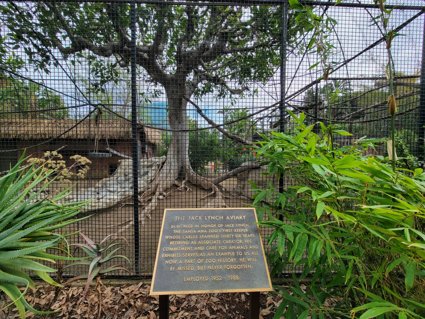 Santa Ana Zoo - Jack Lynch Aviary (with Guereza colobuses)