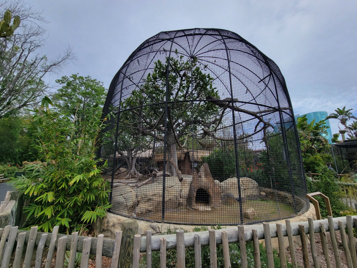 Santa Ana Zoo - Jack Lynch Aviary (with Guereza colobuses)