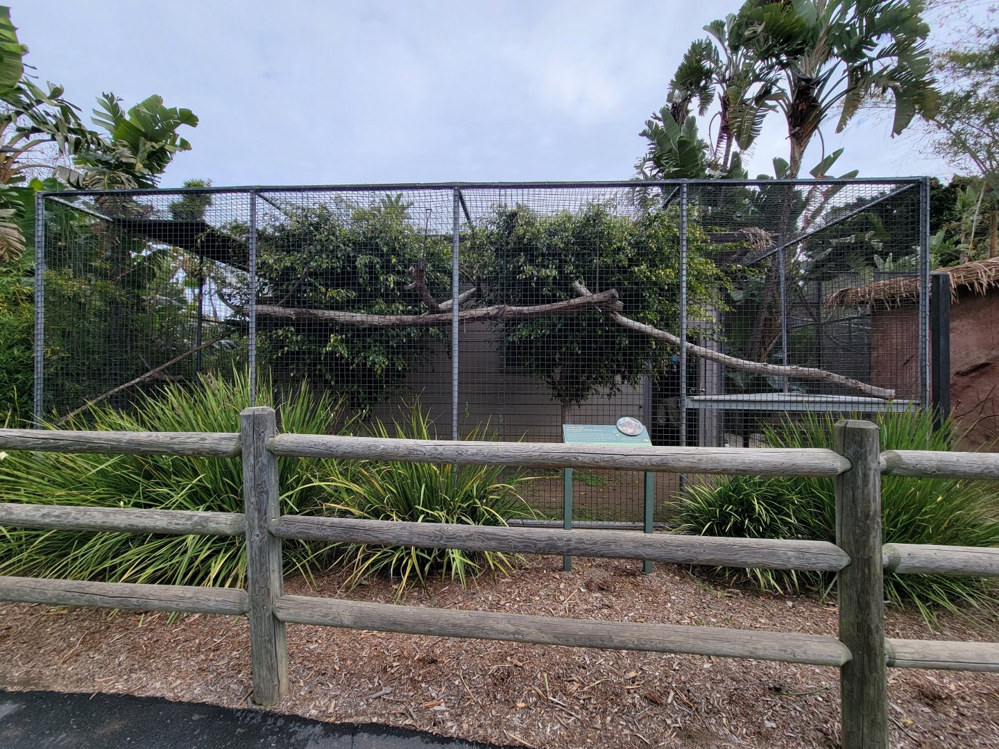 Santa Ana Zoo - Linne's sloth exhibit