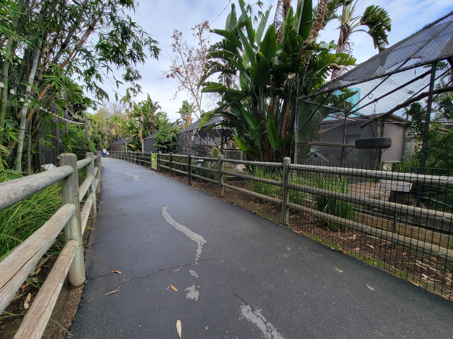 Santa Ana Zoo - Monkey row path