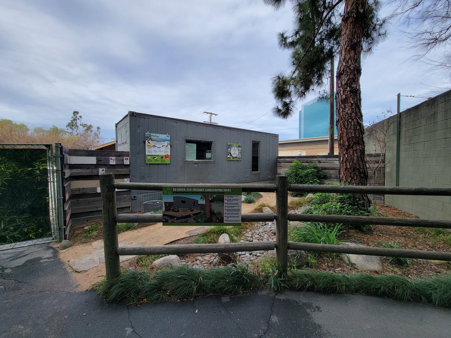Santa Ana Zoo - Mountain yellow-legged frog raising station
