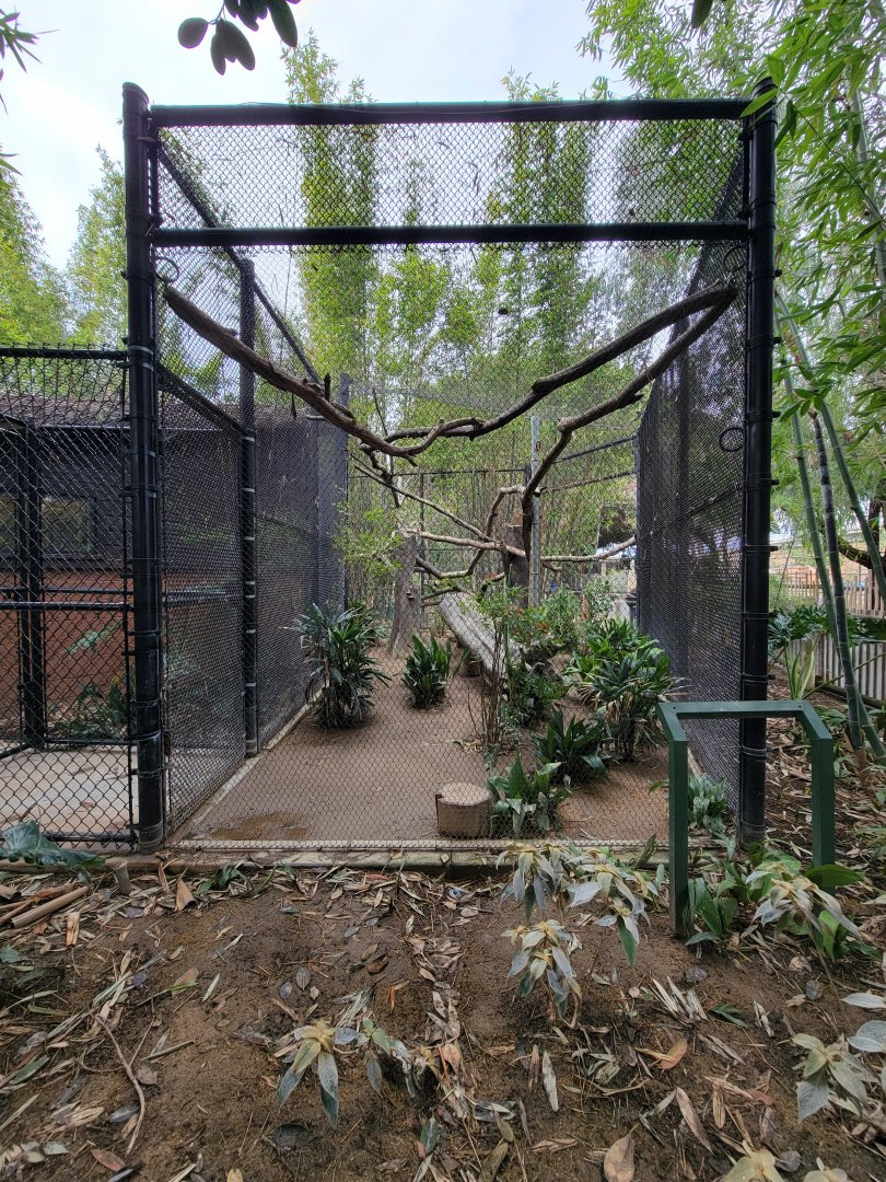 Santa Ana Zoo - Ocelot exhibit