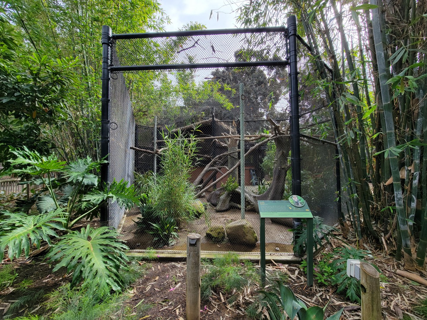 Santa Ana Zoo - Ocelot exhibit