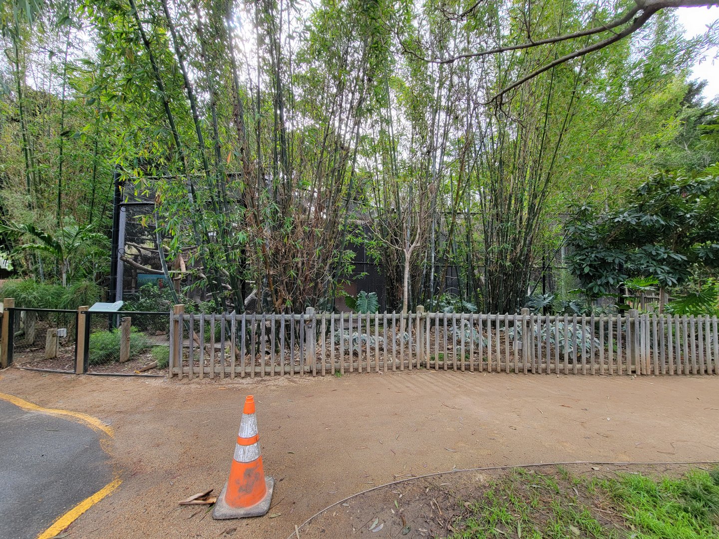 Santa Ana Zoo - Ocelot exhibits