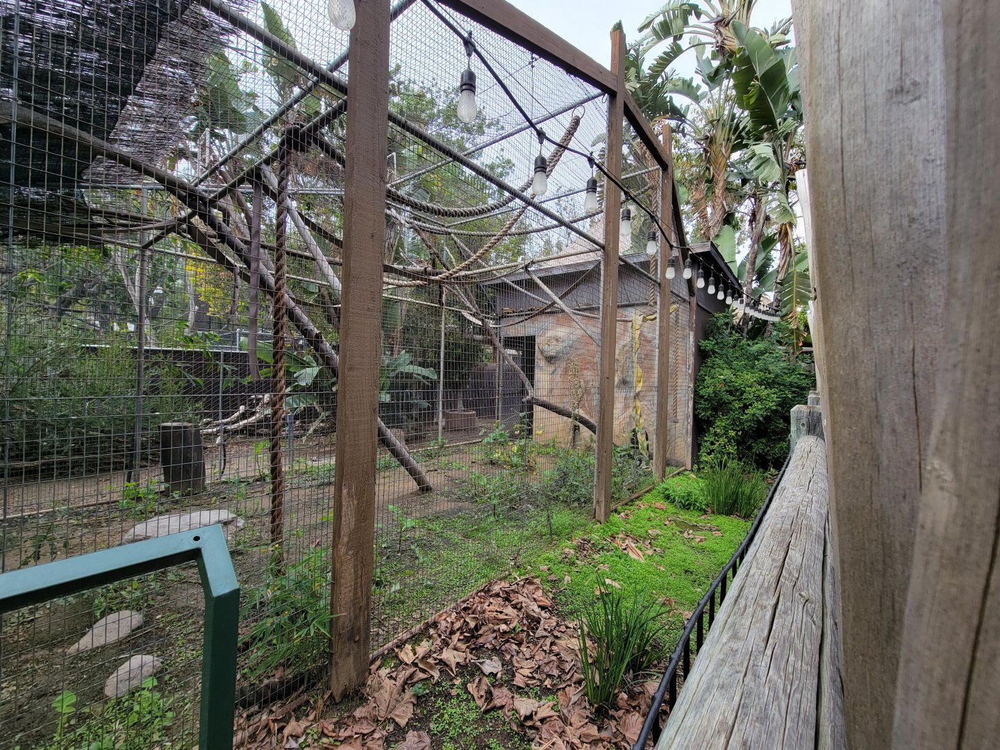 Santa Ana Zoo - Old exhibit in blocked off area