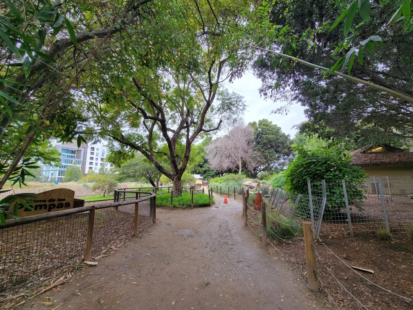 Santa Ana Zoo - Pampas path
