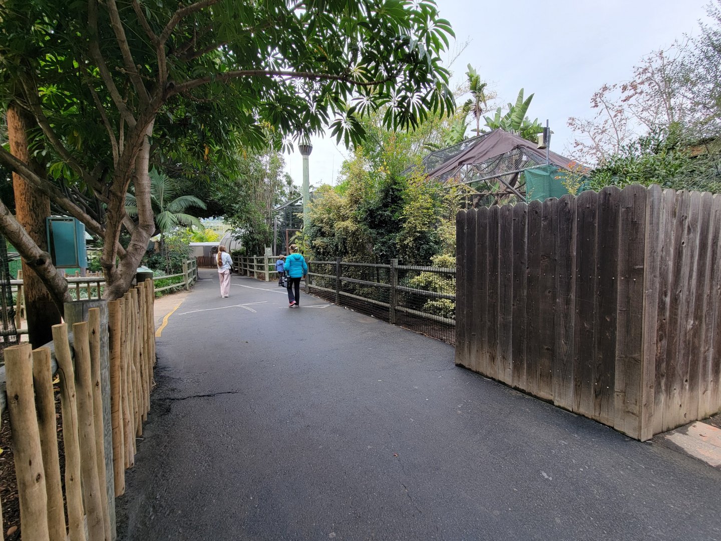 Santa Ana Zoo - Path down monkey row