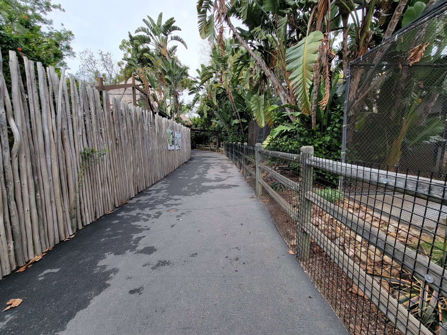 Santa Ana Zoo - Path with blocked off area
