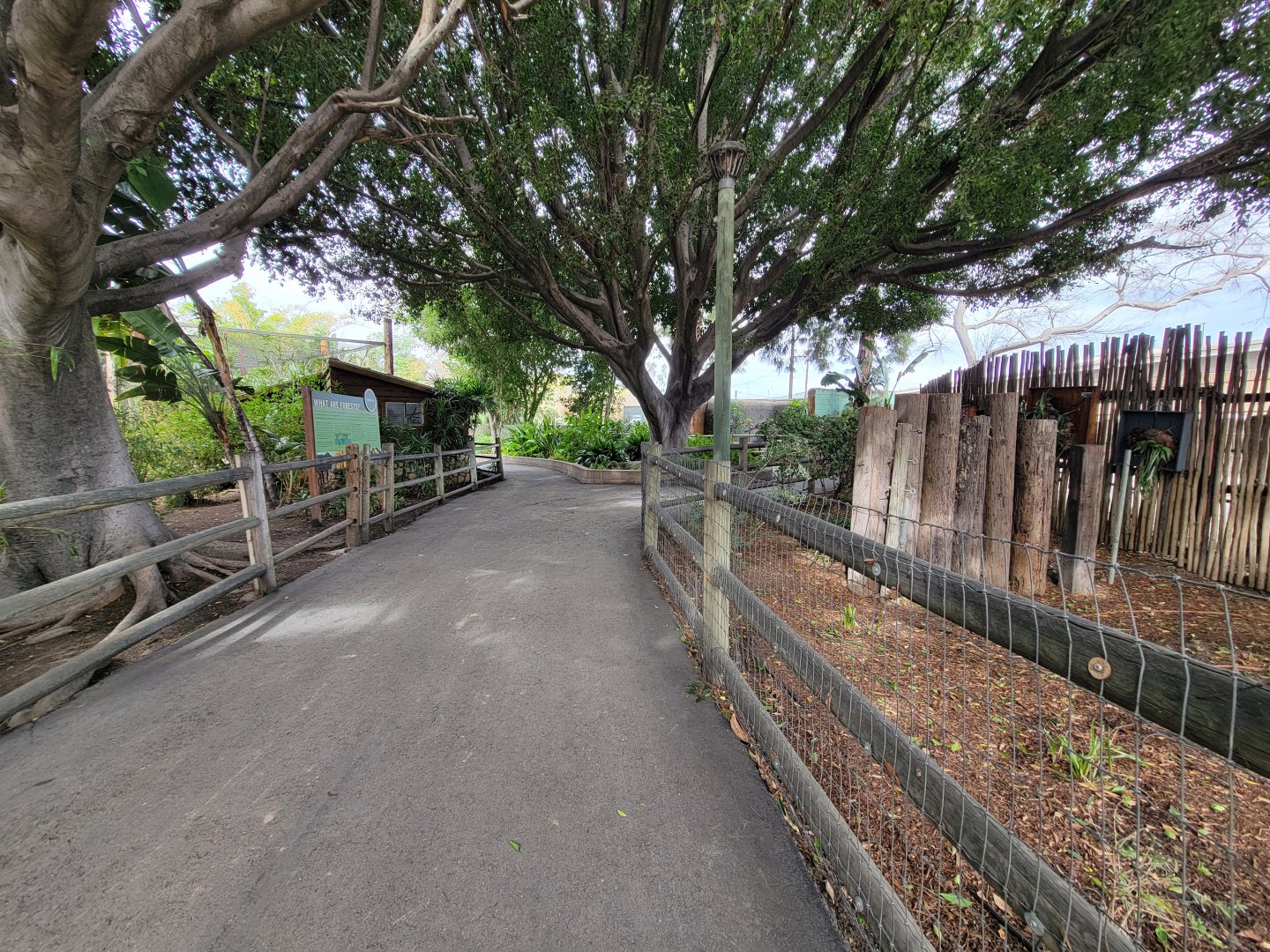 Santa Ana Zoo - Path